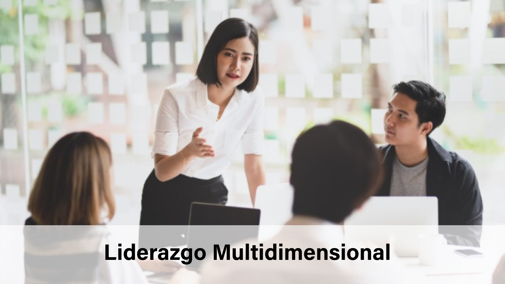 Liderazgo Multidimensional